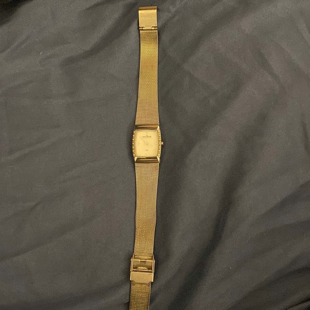 Skagem watch - adjustable strap